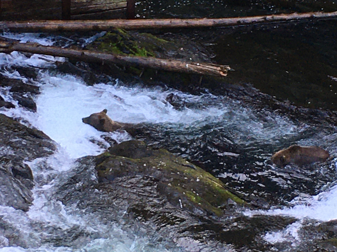 Russian River Falls-Cooper Landing必去景点