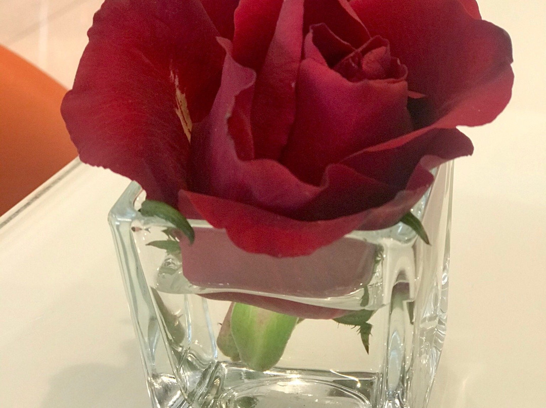 Lu' Hotel Wellness & Beauty-Carbonia必去景点