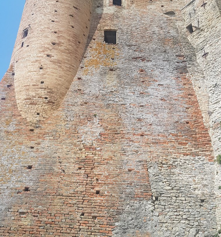 Comune di Castiglione Falletto-Castiglione Falletto必去景点