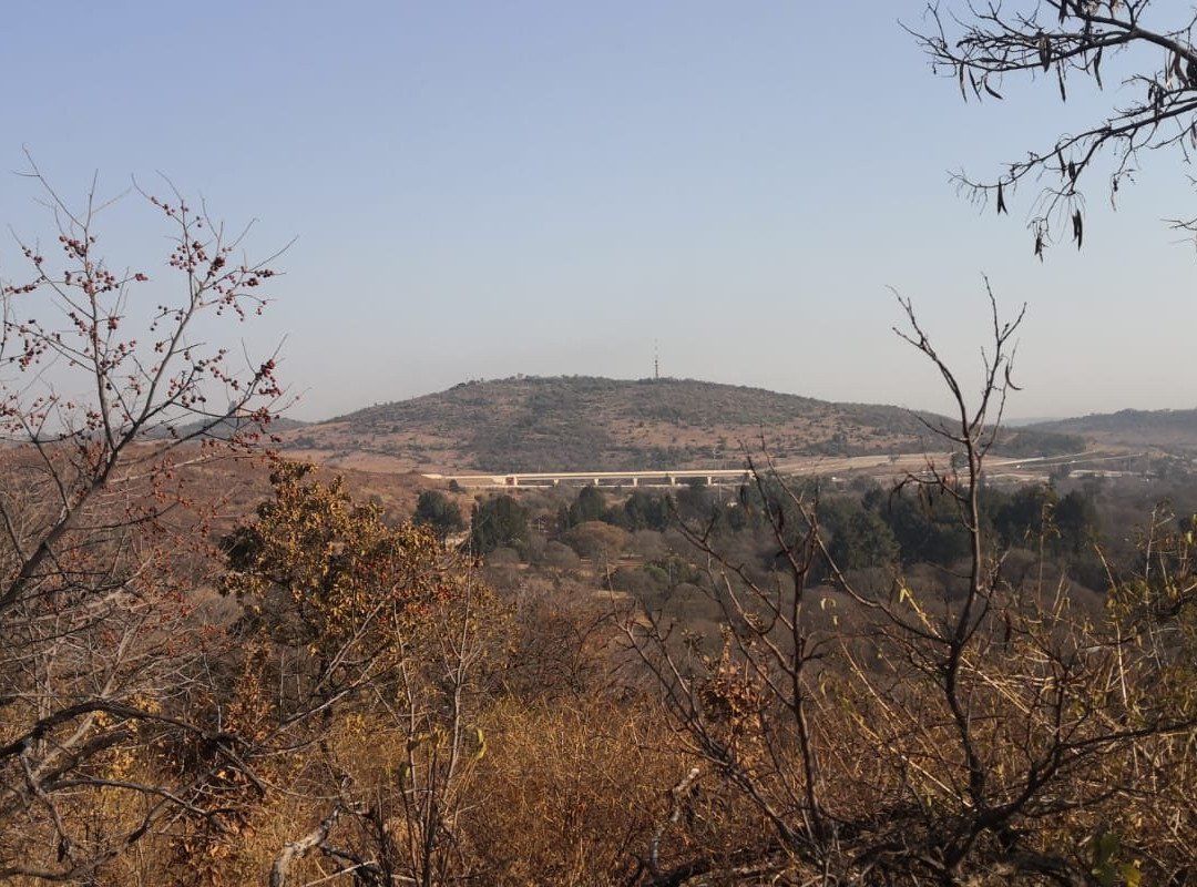 Groenkloof Nature Reserve-比勒陀利亚必去景点