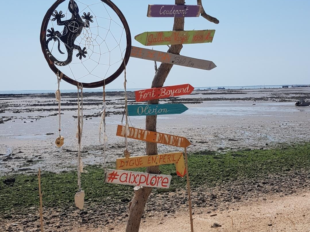 Plage des Sables Jaunes-Ile d'Aix必去景点
