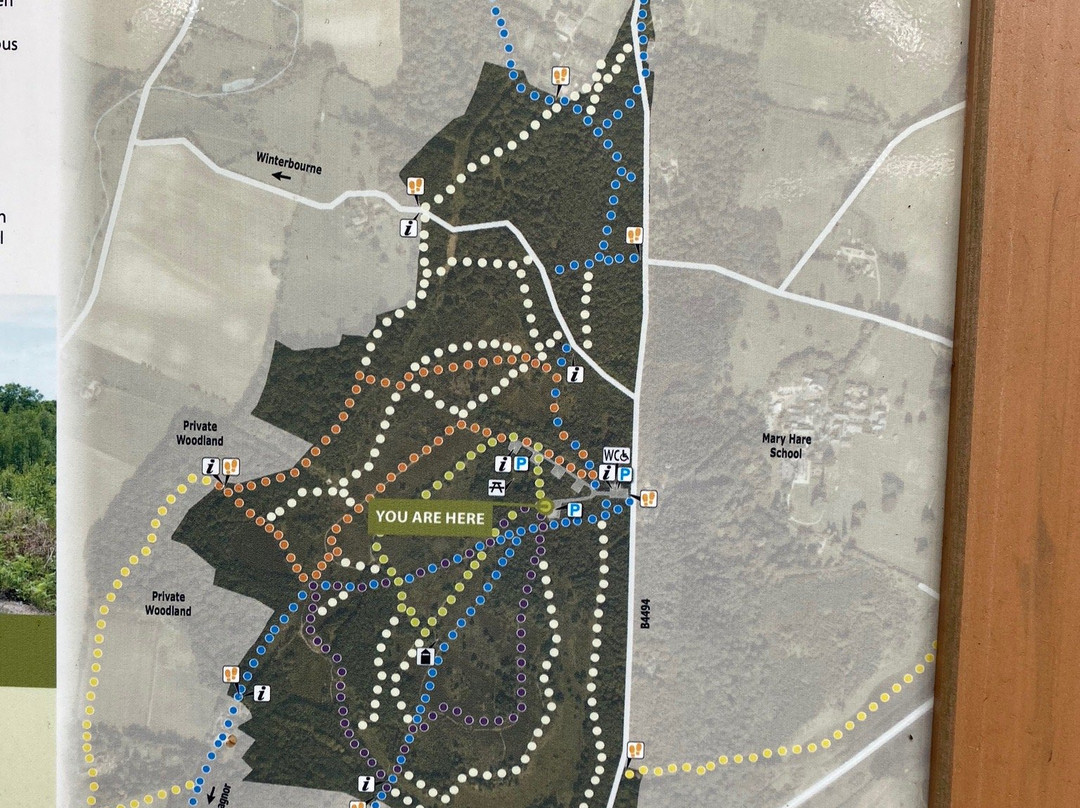 Snelsmore Common Country Park-纽伯里必去景点