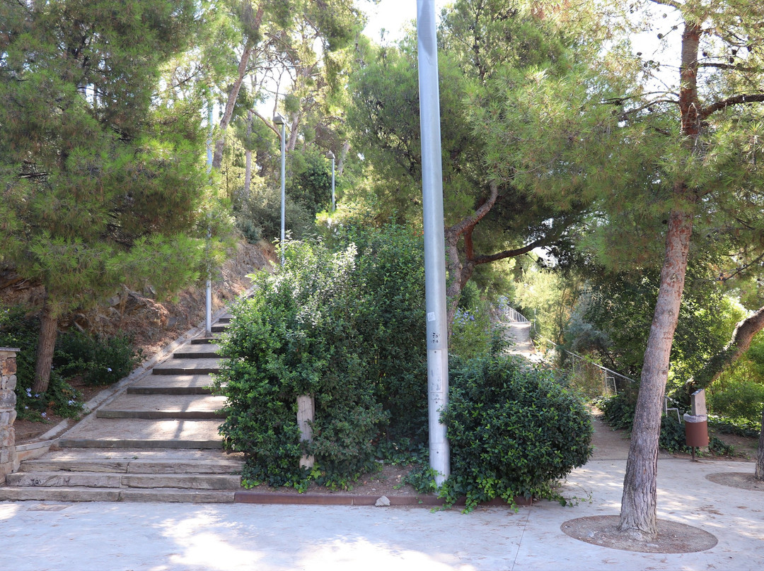 Parc del Mil·lenari景点图片