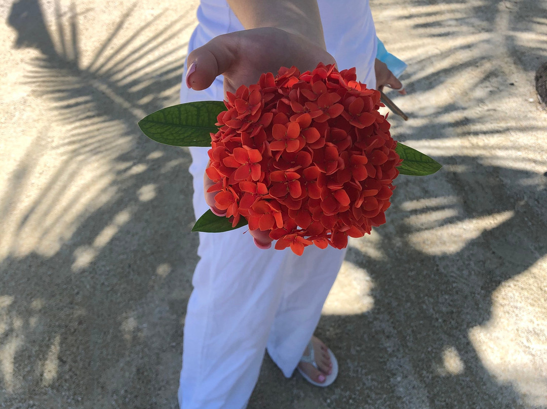 Island Bay Resort主图