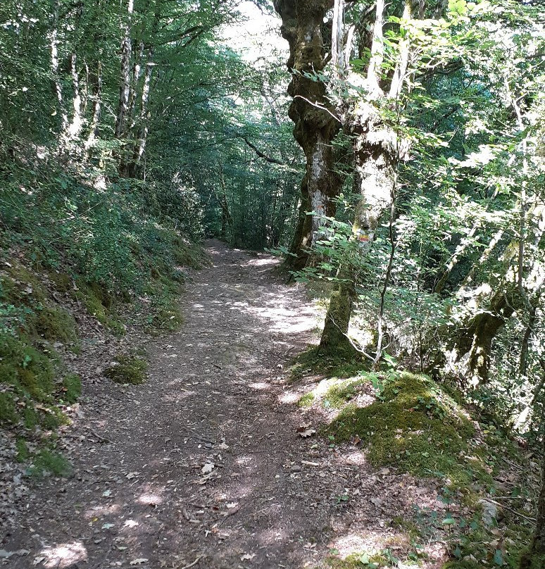 Tours de Carbonnieres-Goulles必去景点