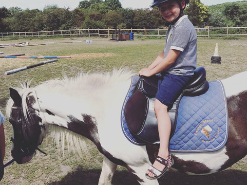 George Mead Memorial Stables-Welling必去景点