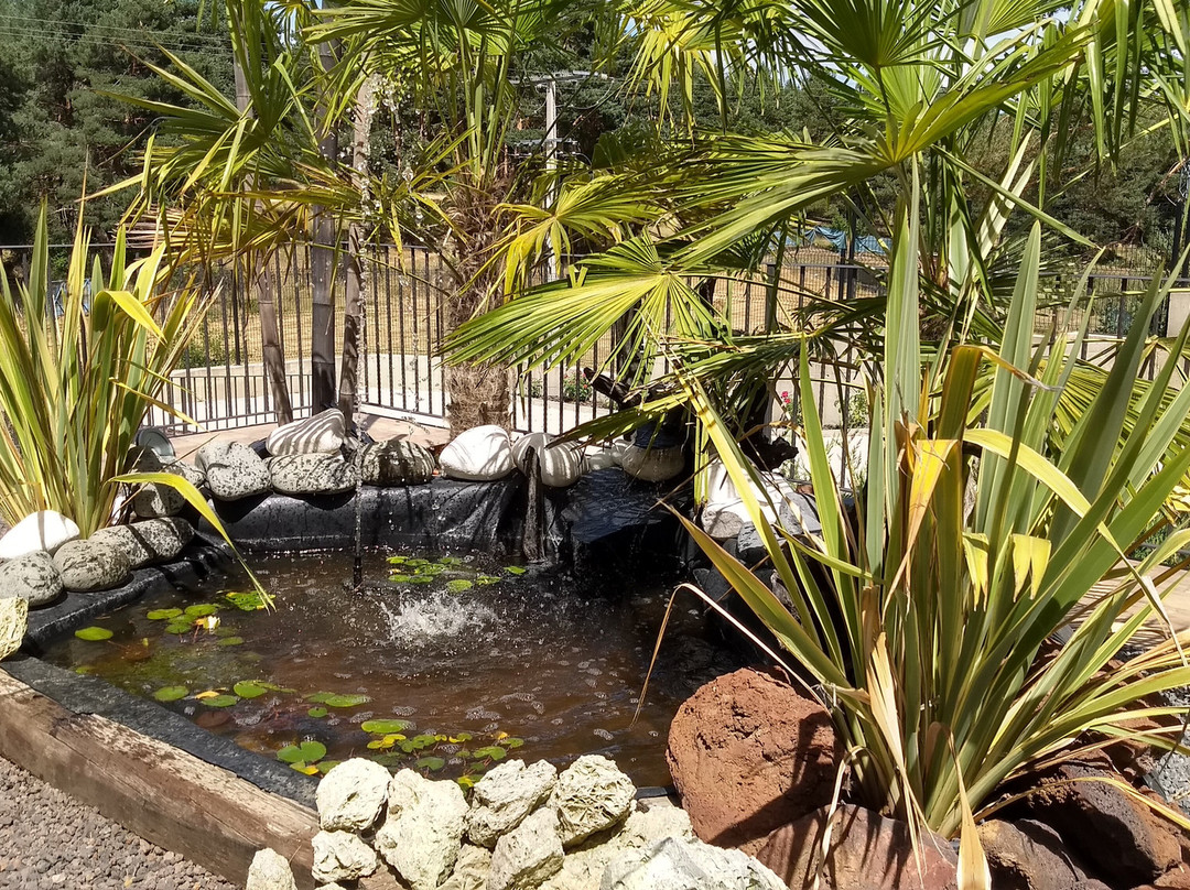 El Nido de Pinares主图