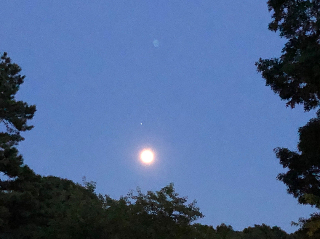 Veranda Cape Cod Family Resort主图