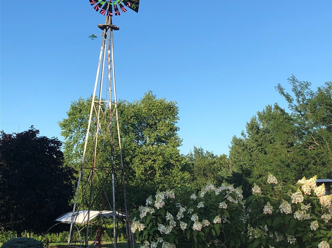 Kickapoo Creek Winery-Edwards必去景点