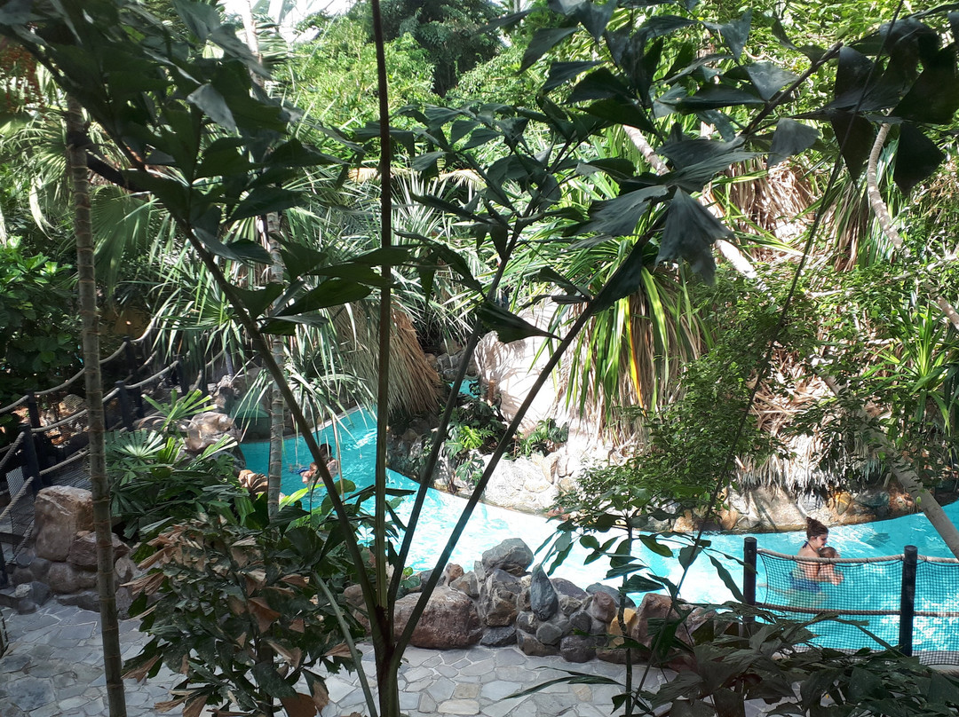 Center Parcs Bispinger Heide主图
