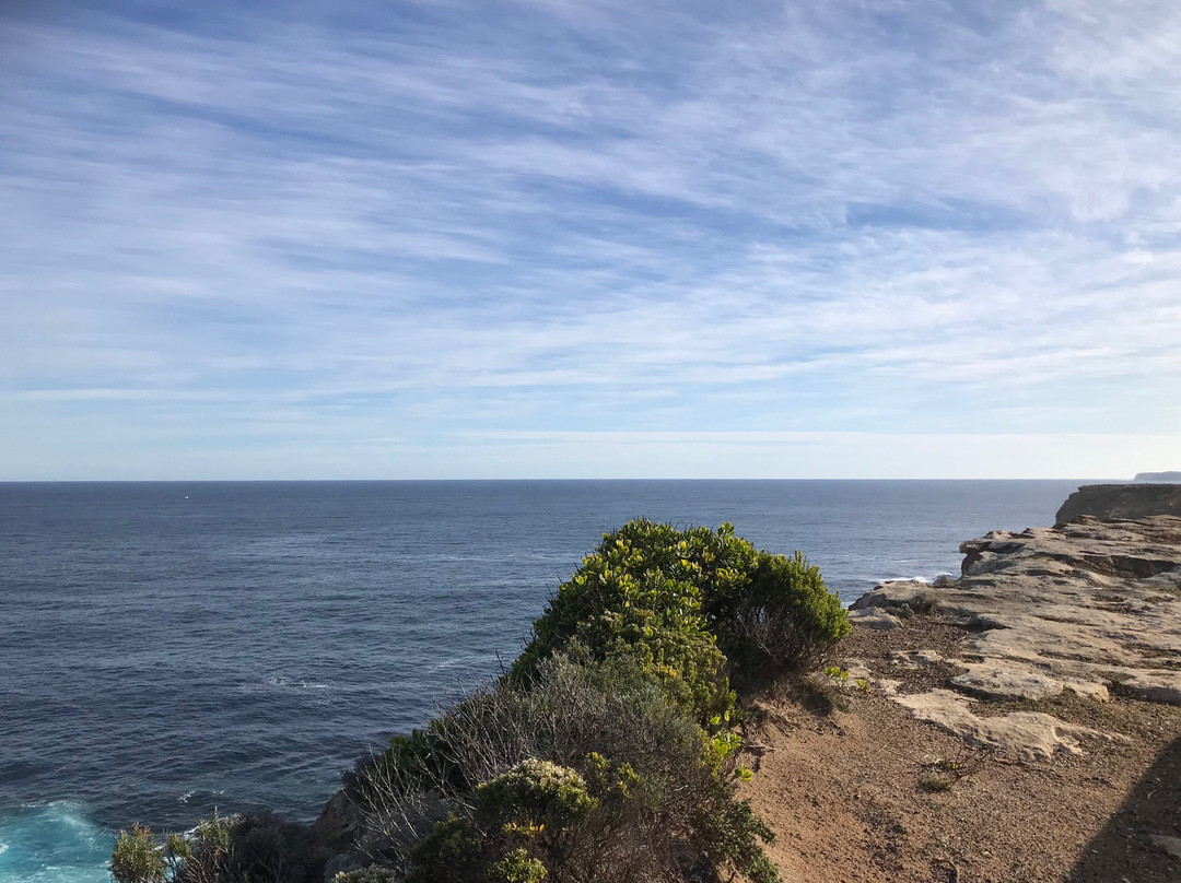 Cape Nelson State Park景点图片