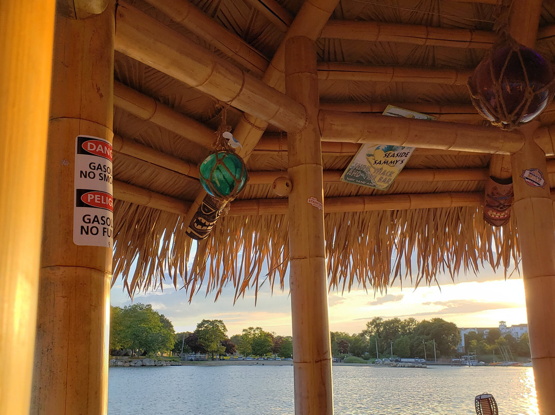 Captain John's Tiki Tours-斯坦福必去景点