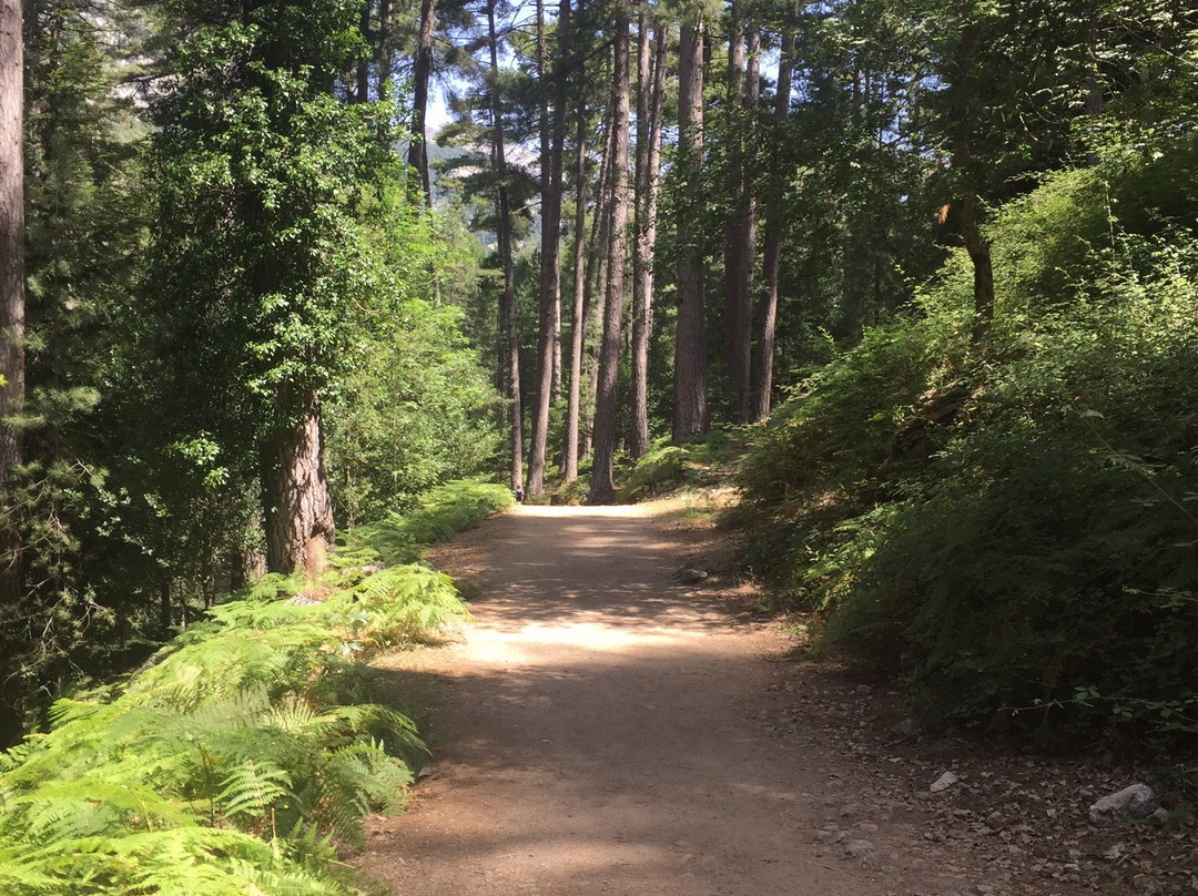 Sentier du Châtaignier景点图片