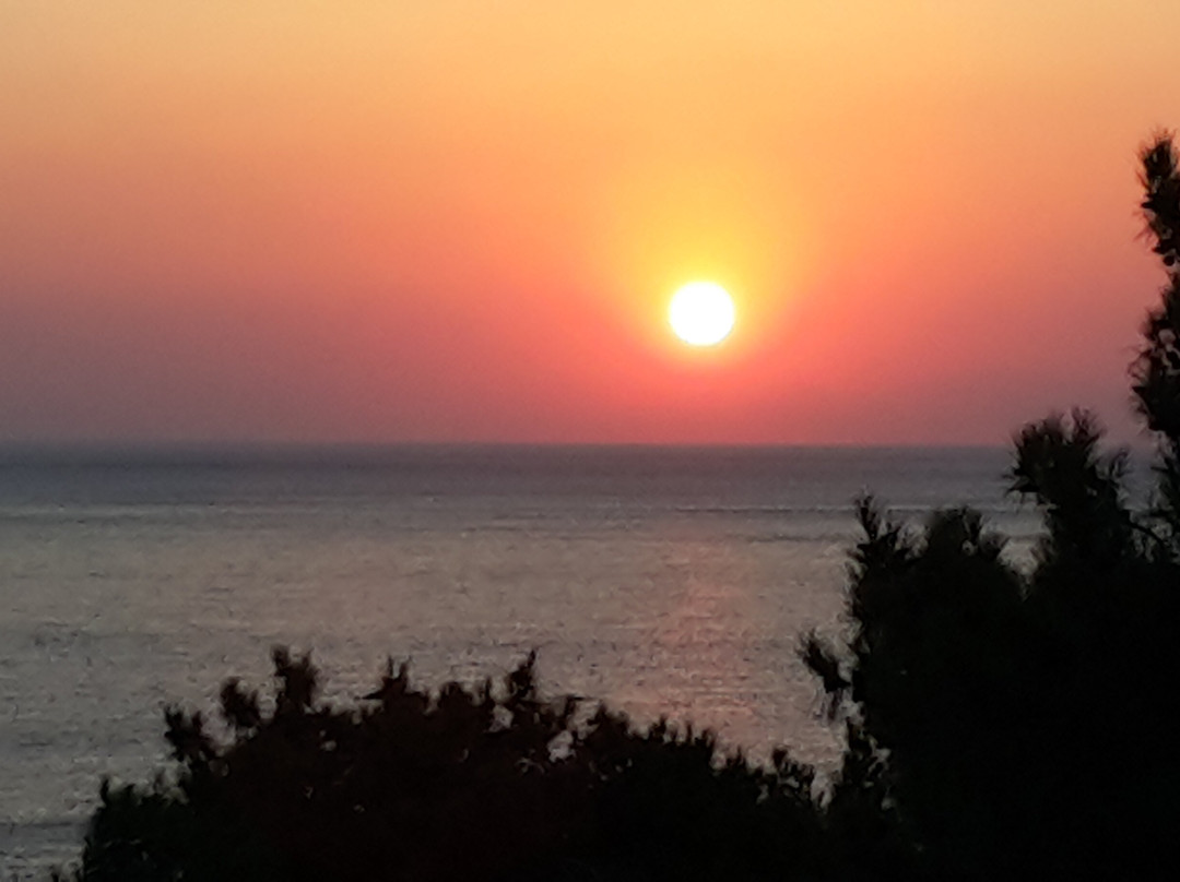 Bouganville Studios主图