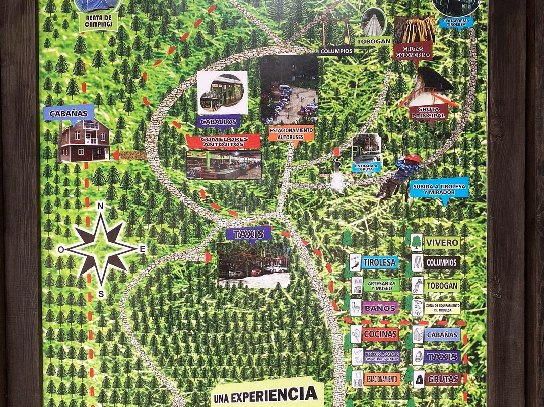 Parque Ecoturistico de Rancho Nuevo景点图片