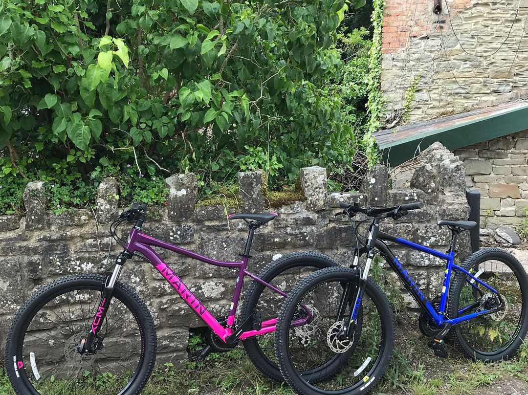 Dean Forest Cycles-Parkend必去景点