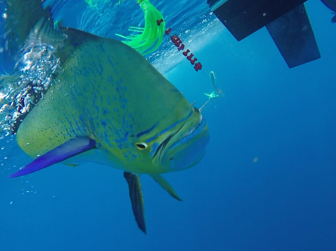 Reelax Fishing Charters-Atlantic Beach必去景点