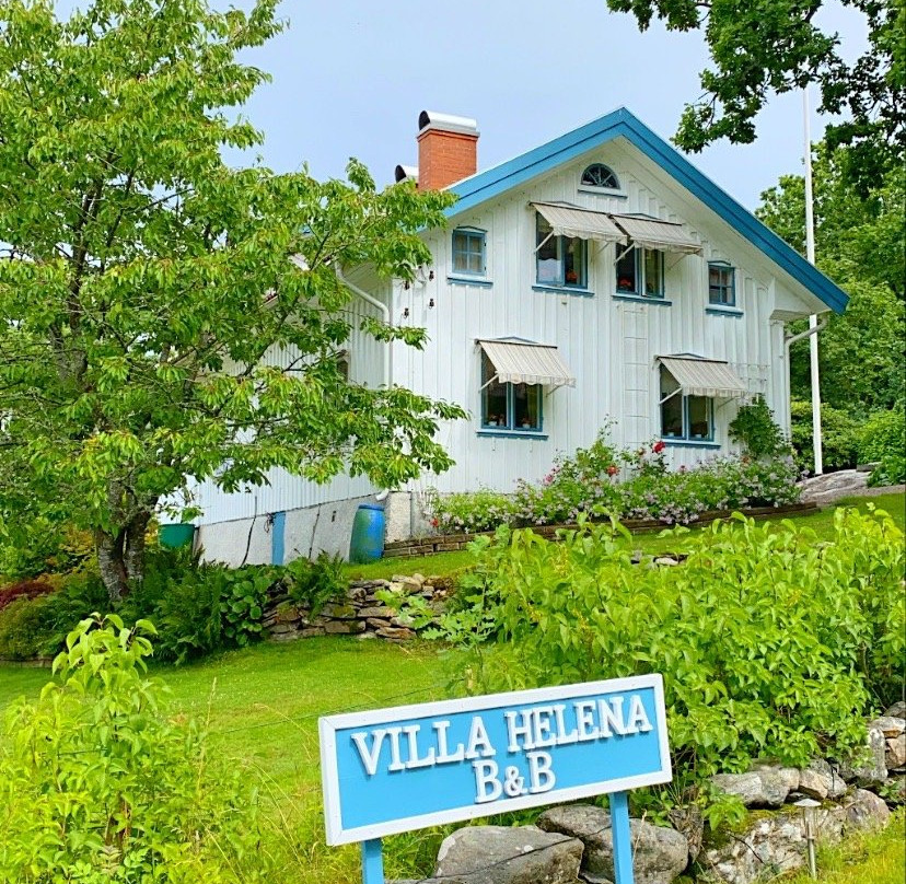 Villa Helena B&B主图