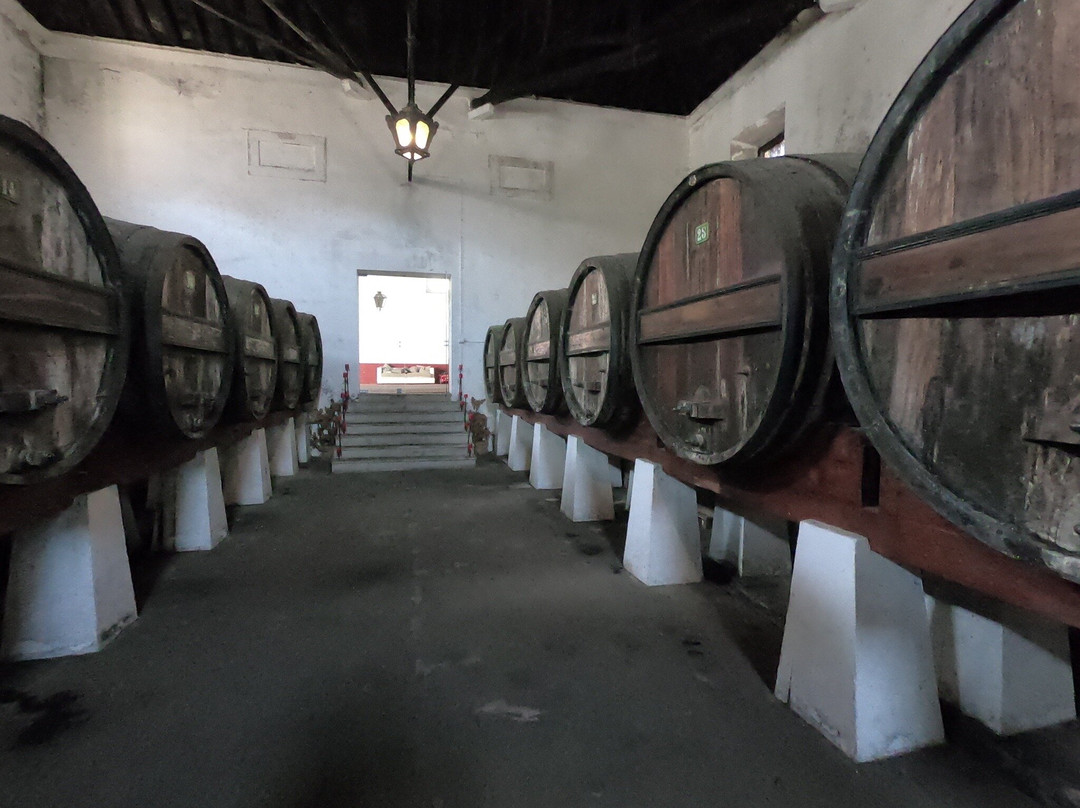 Quinta do Sanguinhal景点图片