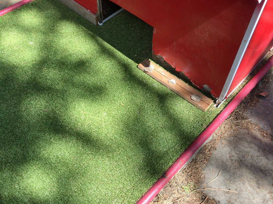 Mini-Golf des Etangs-沃吕韦圣彼得必去景点