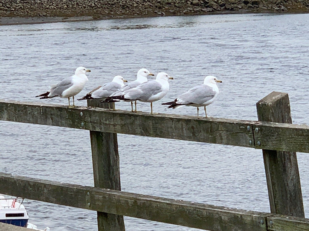 Calais Waterfront Walkway-Calais必去景点