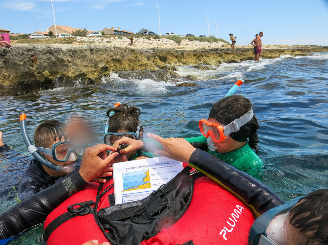 Fabrice Plongée-Sausset-les-Pins必去景点