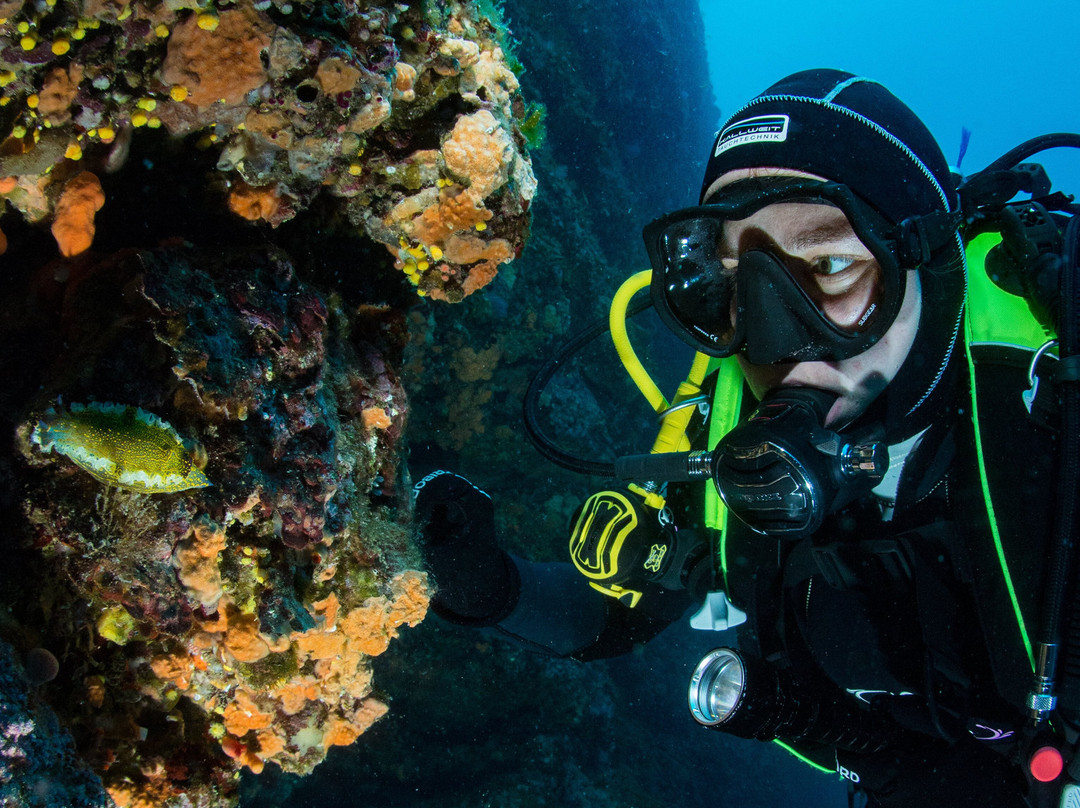 Aqualis Diving Center Hvar景点图片