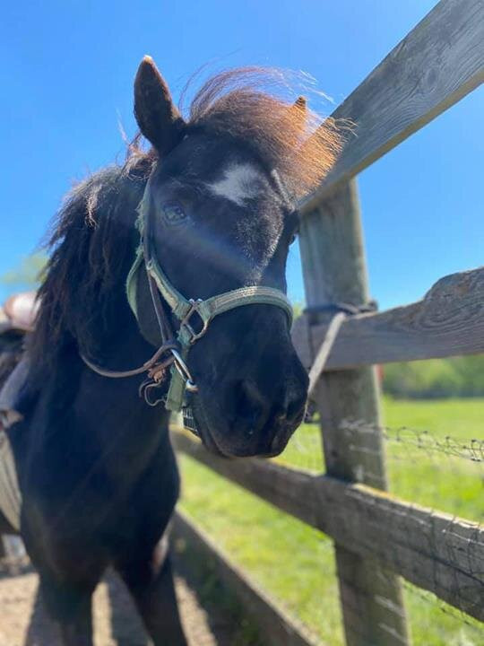 Patch 22-Wadsworth必去景点