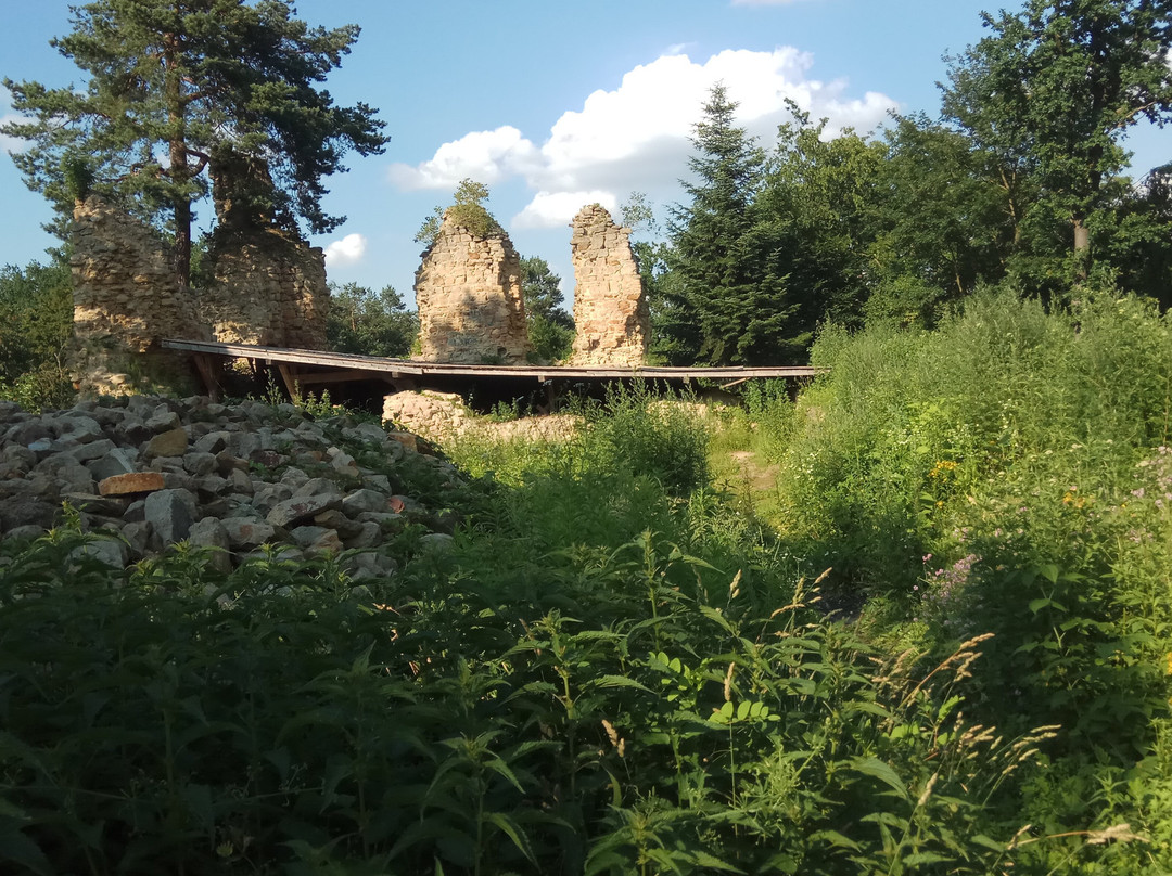 Chateau in Roznow景点图片