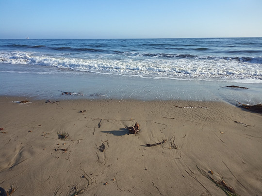 Goleta Beach-戈利塔必去景点