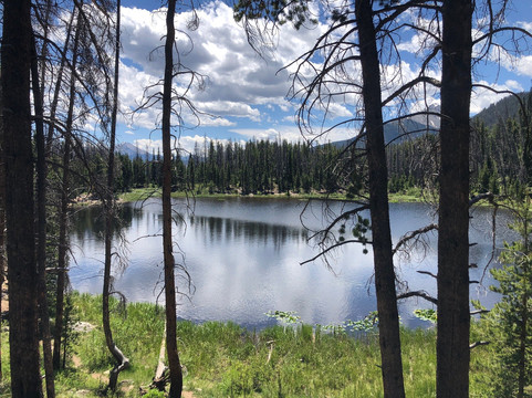 Lily Pad Lake-银座必去景点