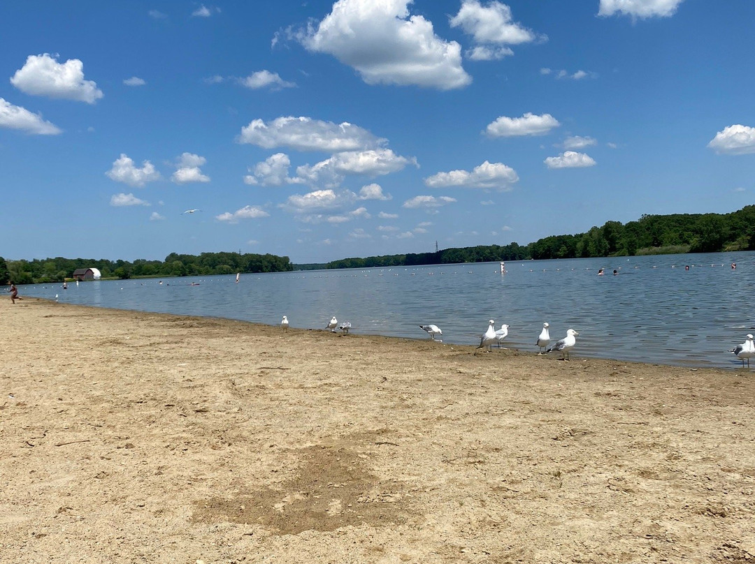 Bluebell Beach-弗林特必去景点