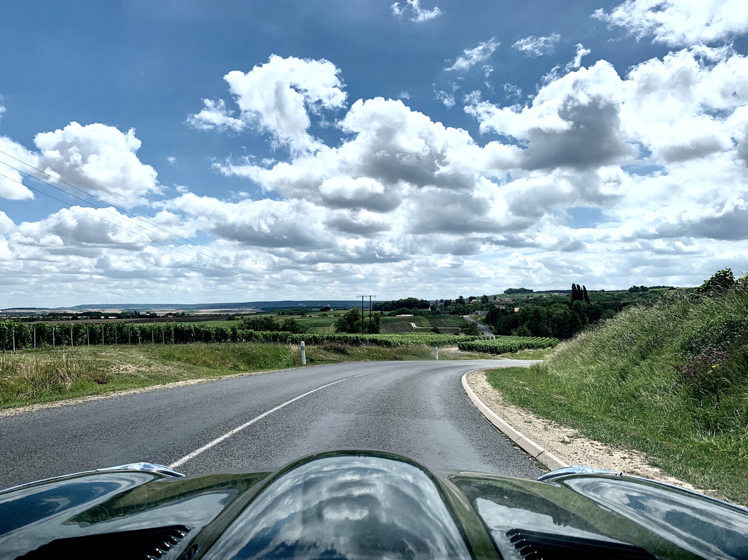 Champagne Route (Route Touristique du Champagne)-Marne必去景点