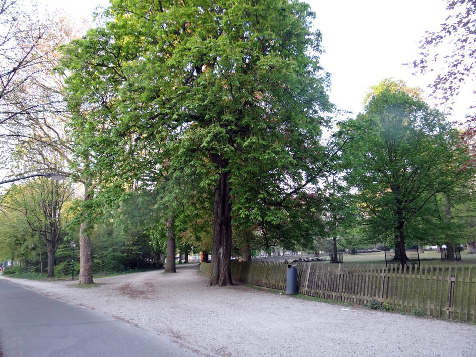 Haarlemmerhout-哈勒姆必去景点