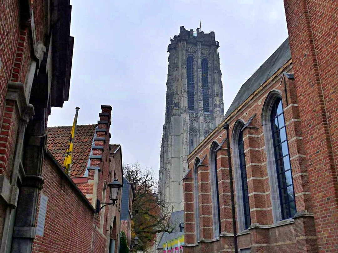 St. Rumbold's Cathedral景点图片