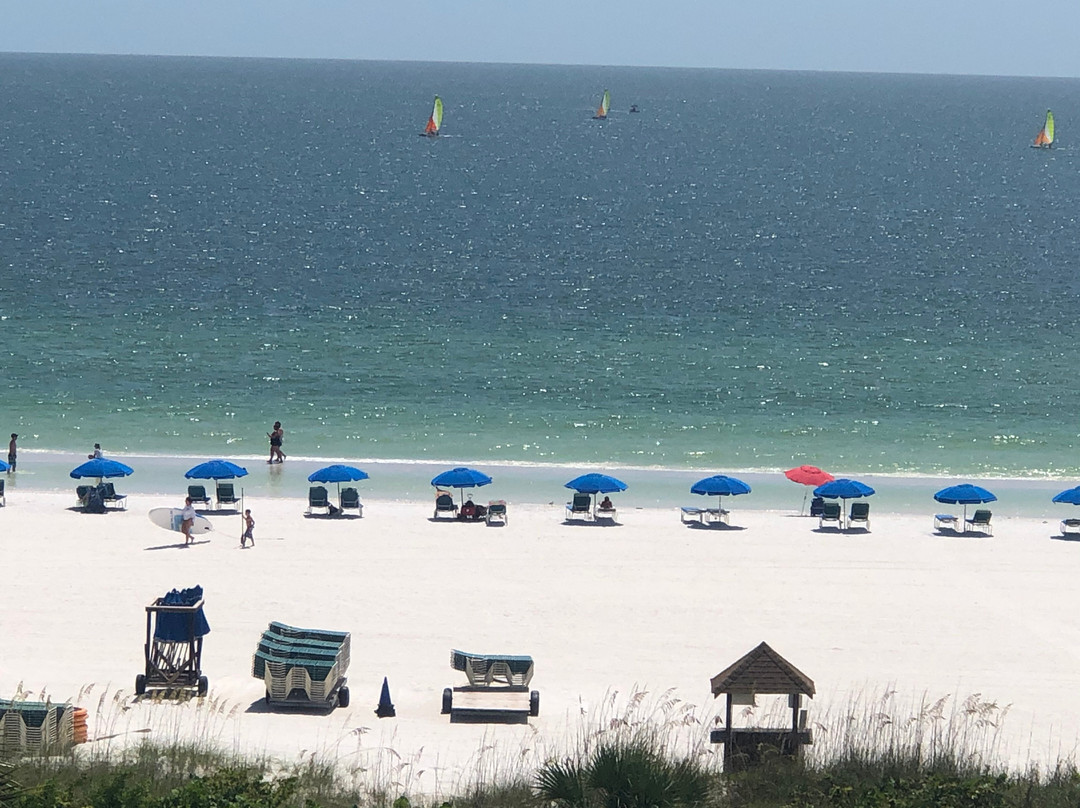 The Surf Club of Marco主图