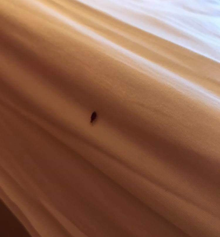 Hotel Le Marbore主图
