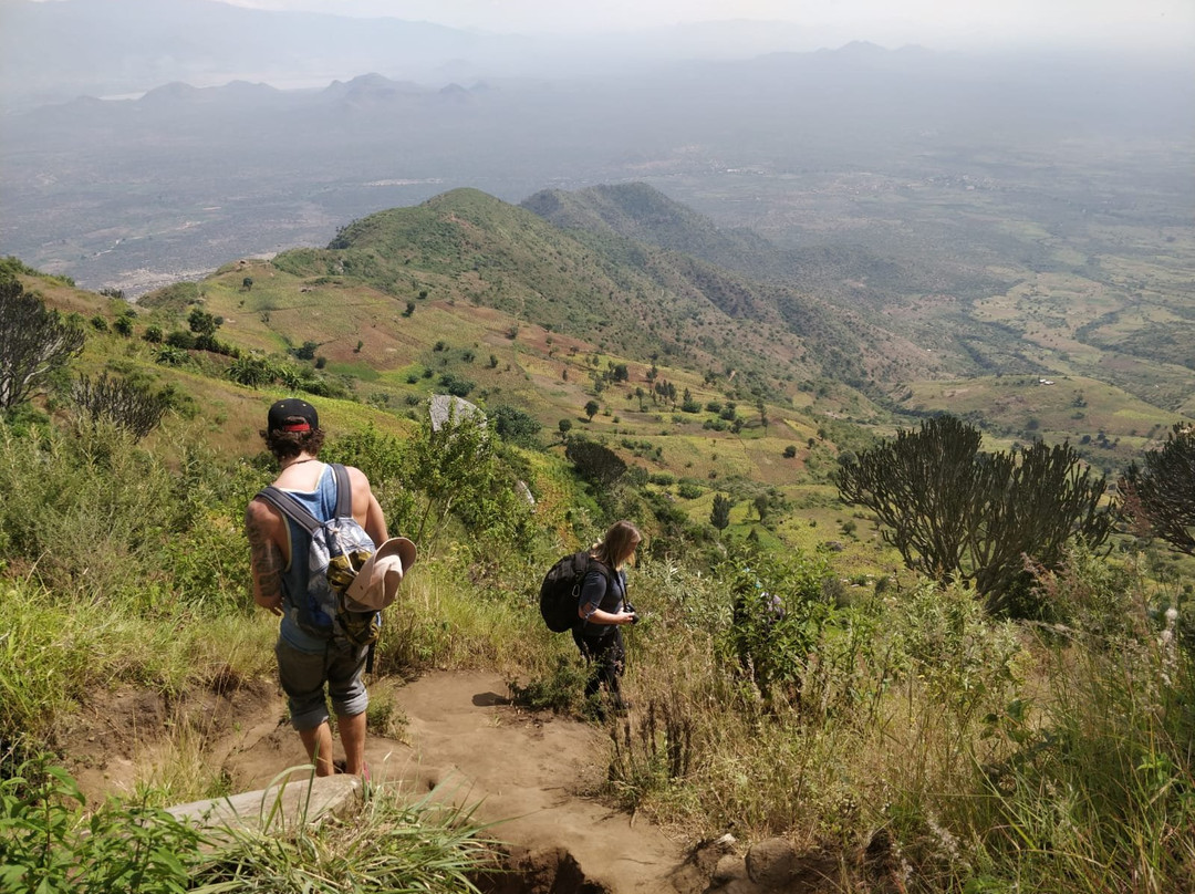 MamboViewPoint主图