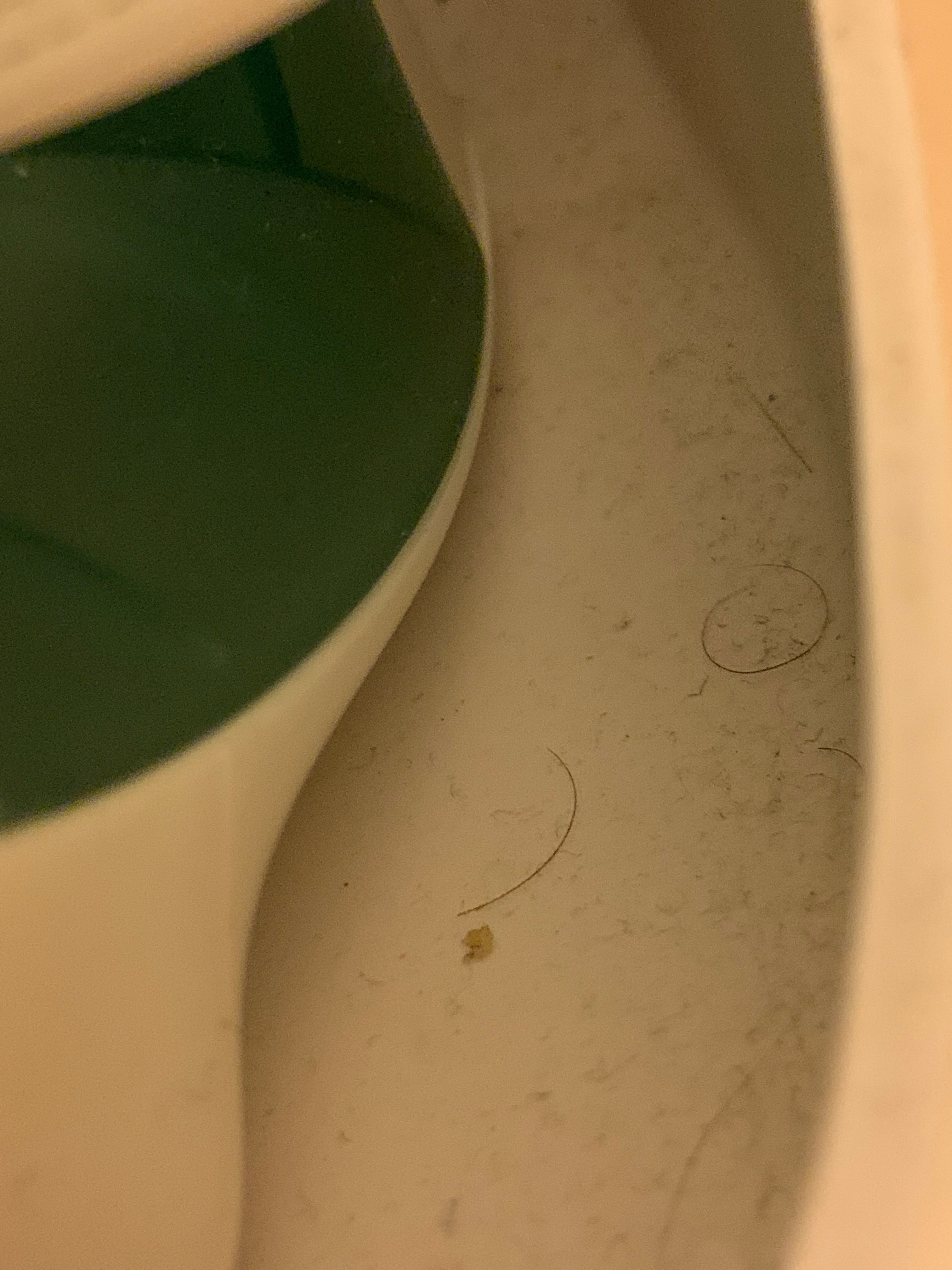 Red Roof Inn Allentown Airport-浴室