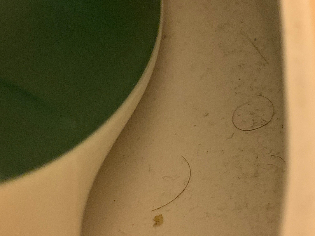 Red Roof Inn Allentown Airport主图