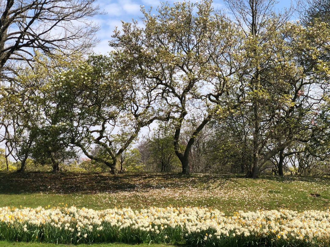 Park Van Laken-布鲁塞尔必去景点
