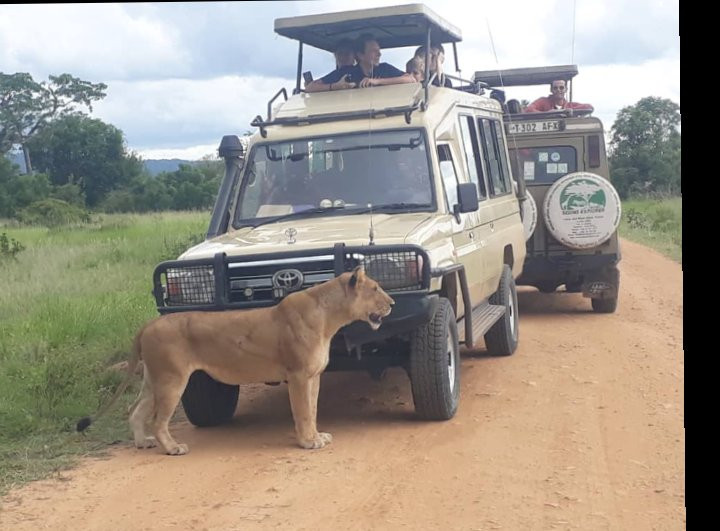 MORANI TOURS & SAFARIS LIMITED-阿鲁沙必去景点