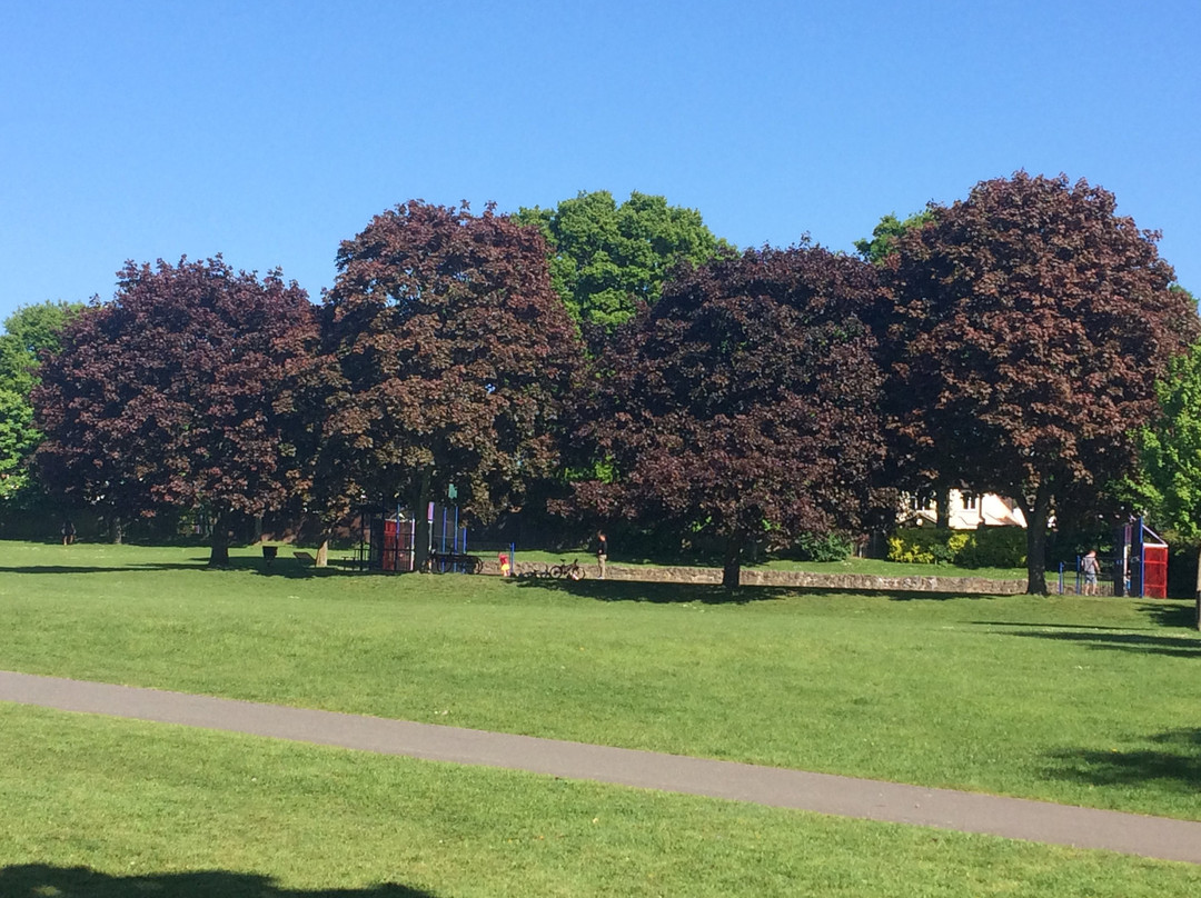 Croydon Road Recreation Ground景点图片