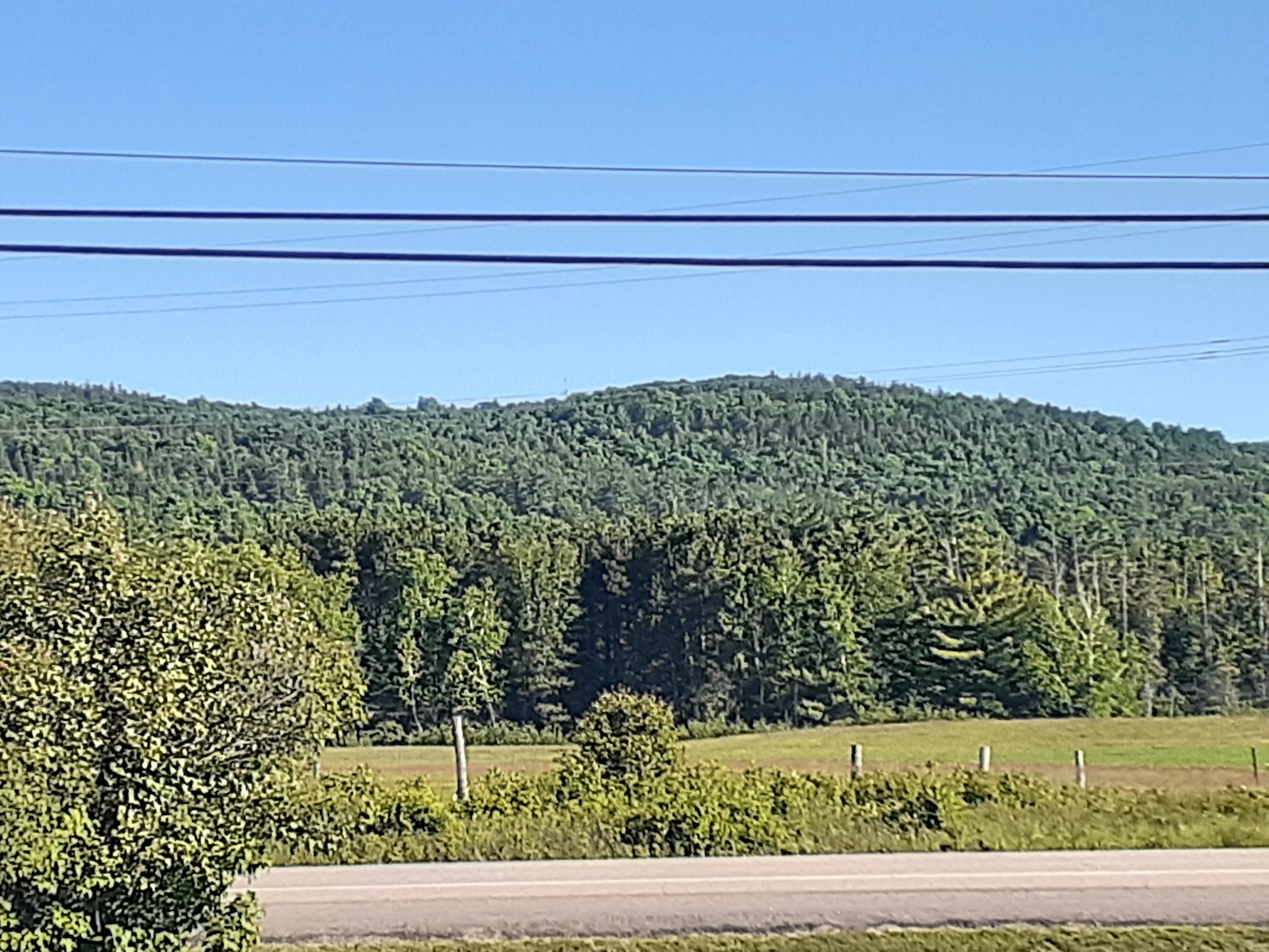 Mountain View Motel-官方