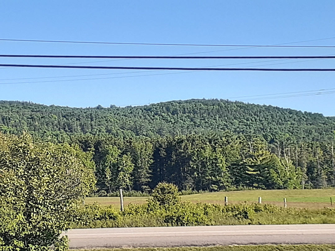 Mountain View Motel主图