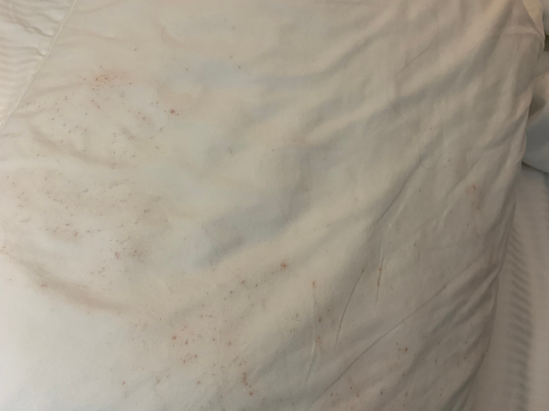 Iris Garden Inn主图