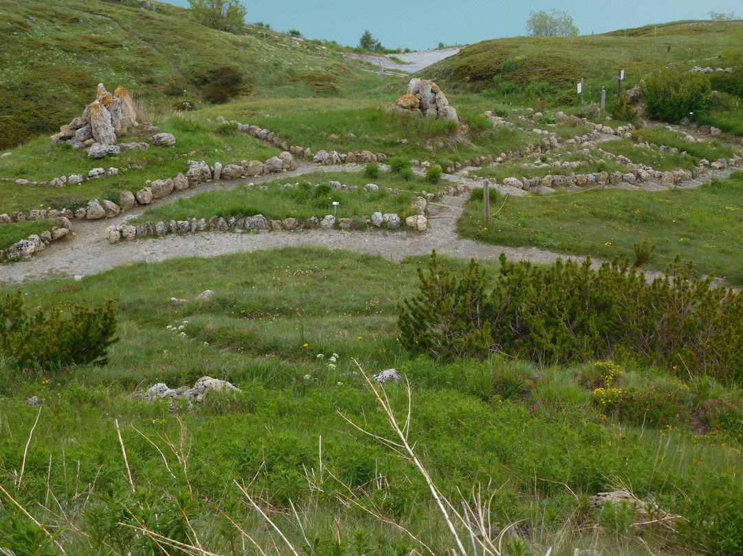 Jardin Alpin du Col du Mont Cenis景点图片