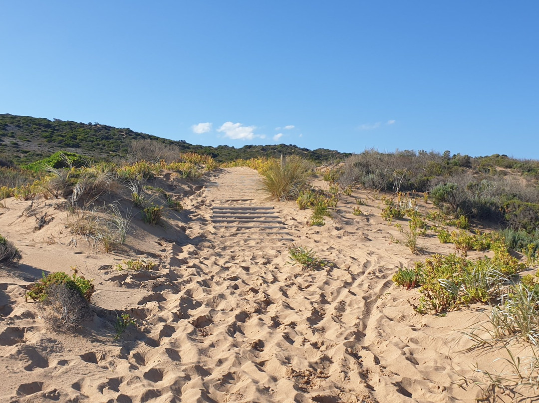 Waitpinga Beach-Waitpinga必去景点
