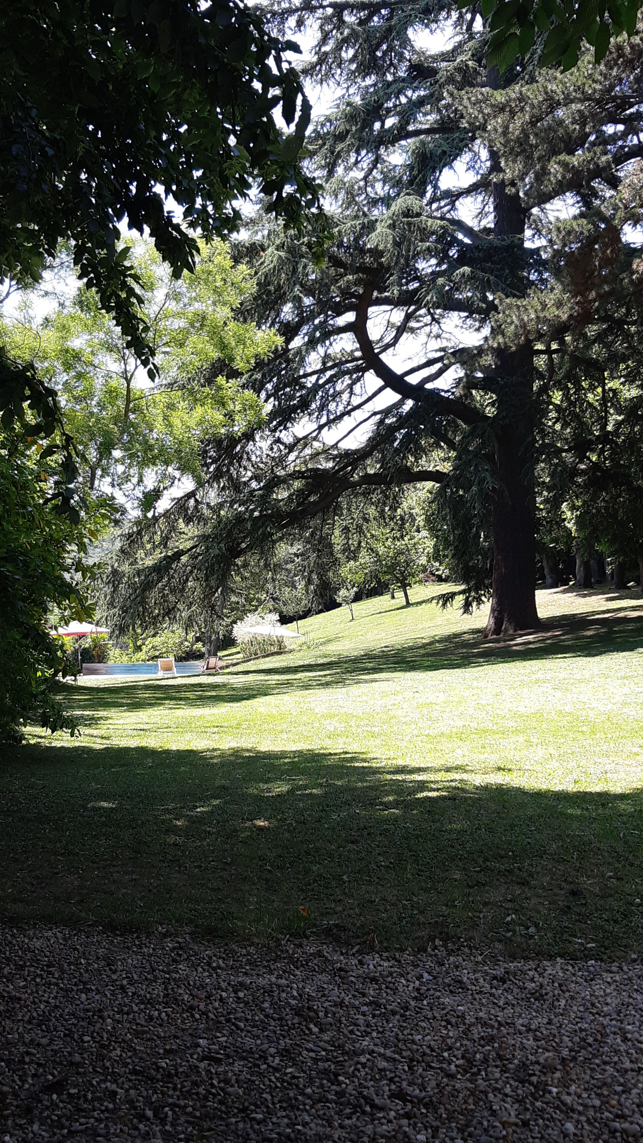 Demeure des Monts d'Or-泳池