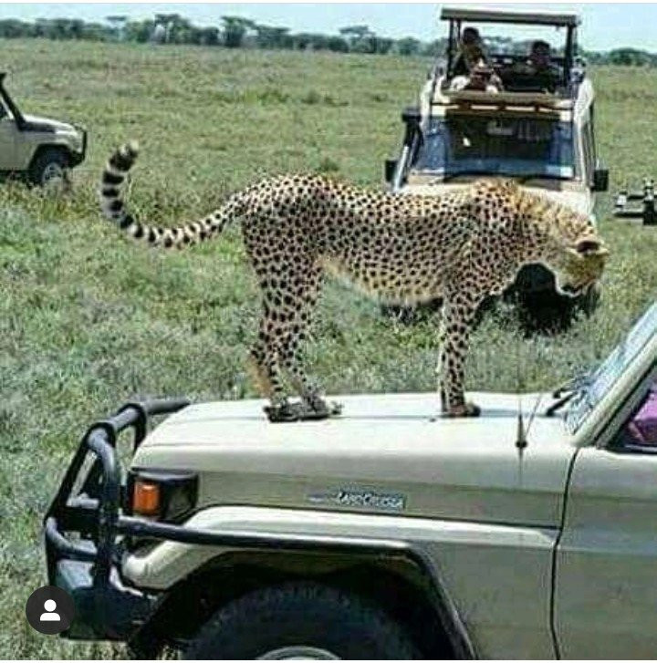 Mikumi National Park-米库米国家公园必去景点